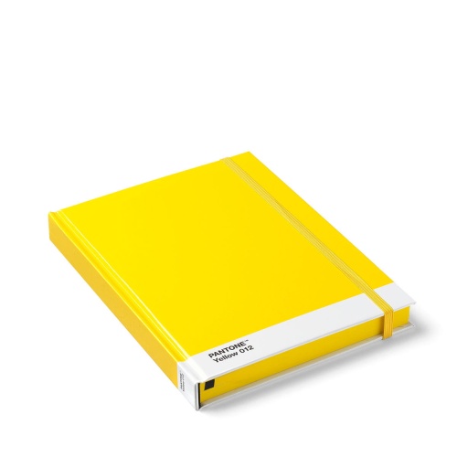Notebook_Large_Yellow-012.jpg