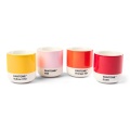 10101-Machiato-cup-set-of-4-rod-gul-1-2.jpg
