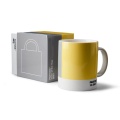 pantone coy 2021 mantecodesign.jpg