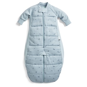ergoPouch Śpiworek Kombinezon 8-24M 2.5TOG Dragonflies